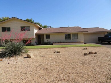 LARGE FRONT YARD