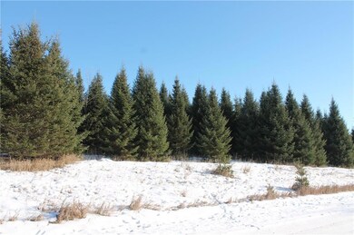 Lot 3 26 1 4 St, Chetek, WI 54728 - photo 5