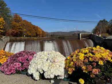 441 New Hampshire 49 unit 2, Campton, NH 03223 - photo 3