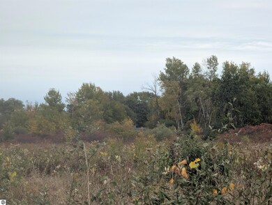 N/A Court St, Au Gres, MI 48703 - photo 6