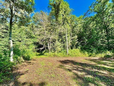 0 E Burns Valley Rd unit 1933975, Wilson, MN 55987 - photo 7