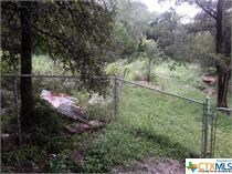 923 Sagewood Trail, San Marcos, TX 78666 - photo 5