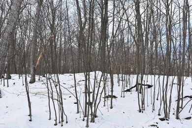 Lot 725 Locust Dr, Dingman Township, PA 18337 - photo 2