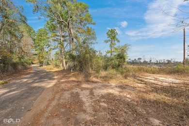 0 Pierce Rd, Logansport, LA 71049 - photo 5