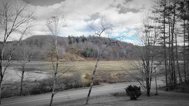 282 Penniman Rd, Meriden, NH 03770 - photo 5