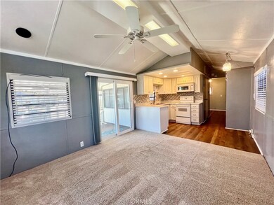 1295 S Cawston Ave unit 263, Hemet, CA 92545 - photo 7