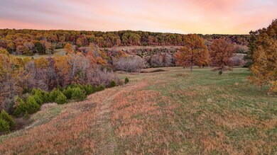 000 Weatherby Dr unit 9.16 Ac Tract, Fordland, MO 65652 - photo 7
