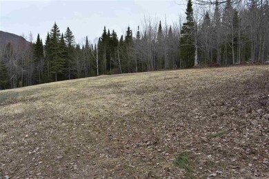 00 Willoughby Lake Rd, West Glover, VT 05822 - photo 5