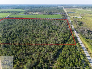 0 Rhonda Coleman Rd, Hazlehurst, GA 31539 - photo 6