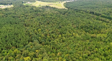 0 NE Frontage Rd, Winona, MS 38967 - photo 3