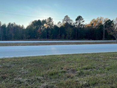 1375 Furman L Fendley Hwy (Us Hwy 176), Union, SC 29379 - photo 2