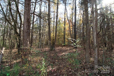 6.5+/-AC Bookout Rd, Rock Hill, SC 29730 - photo 5