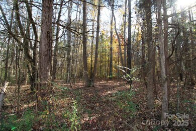 Lot 3 6.5+/-AC Bookout Rd, Rock Hill, SC 29730 - photo 5