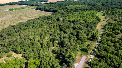 4309 Jimmy Goff Ct, Albany, GA 31705 - photo 2