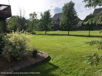back yard 1