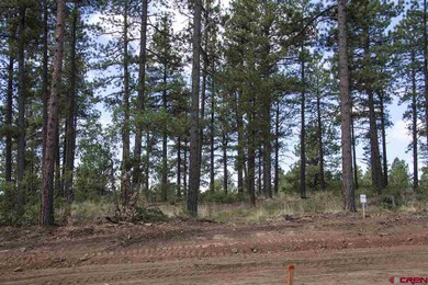 0 Calico Trail unit 696701, Durango, CO 81301 - photo 7