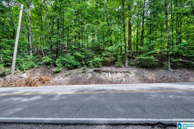 6722 Wesson Cir unit 4, Pinson, AL 35126 - photo 6