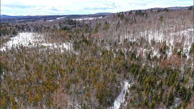 MS0081 Rd, Concord Township, ME 04920 - photo 5