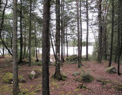 Land/Lot.