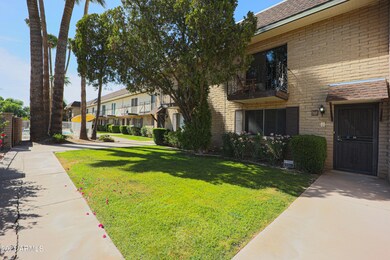 Front Yard