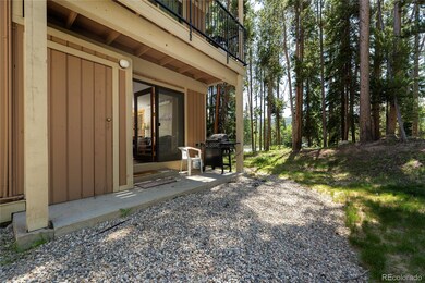 40 40 Gcr 702 unit 1-101, Winter Park, CO 80482 - photo 4
