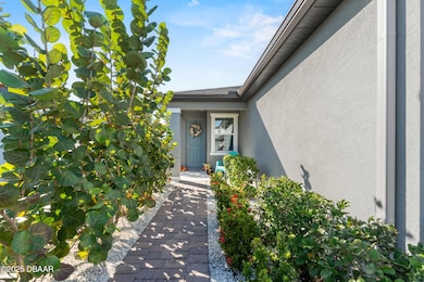 3150 Crab Trap Dr, New Smyrna Beach, FL 32168 - photo 4