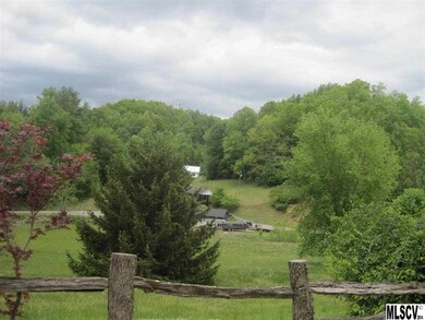 88 Cottonwood Rd, Burnsville, NC 28714 - photo 2