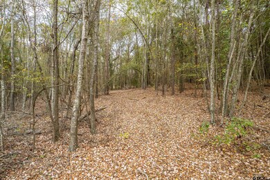 2815 Fm 346, Tyler, TX 75703 - photo 7