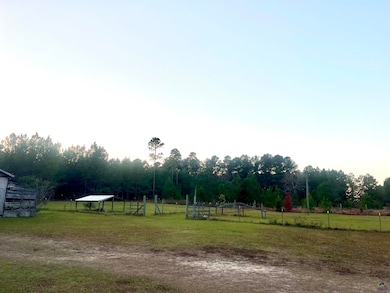 1805 Bell Line Rd, Eastman, GA 31023 - photo 3