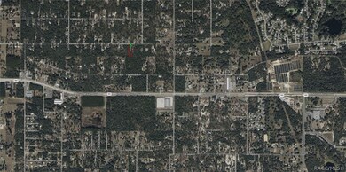 1730 E Bismark St, Hernando, FL 34442 - photo 4