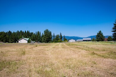 Mid lot looking north