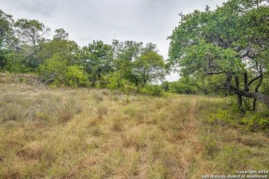 24380 Scenic Loop Rd, San Antonio, TX 78255 - photo 3