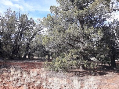 161 C Indian Springs Rd, Ash Fork, AZ 86320 - photo 4