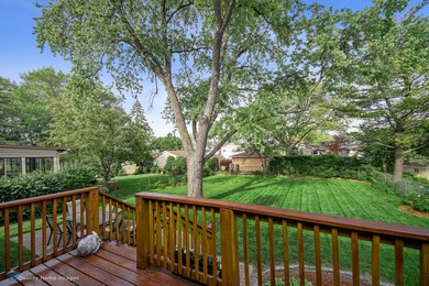 913 S Spring Rd, Elmhurst, IL 60126 - photo 5