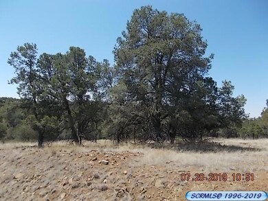 0 Wilmot Rd, Silver City, NM 88061 - photo 2