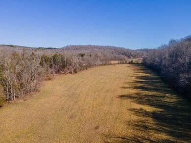 3527 Swindle Creek Rd, Linden, TN 37096 - photo 7