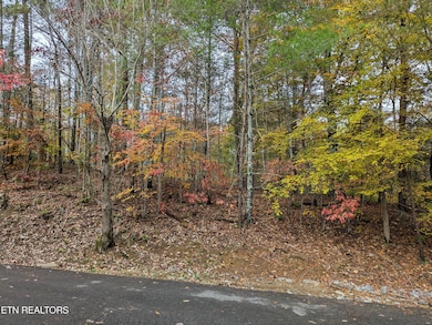 PXL_20251103_201401299.MP