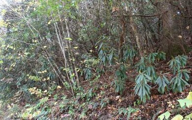 5.25 Clay Cir, Morganton, GA 30560 - photo 3