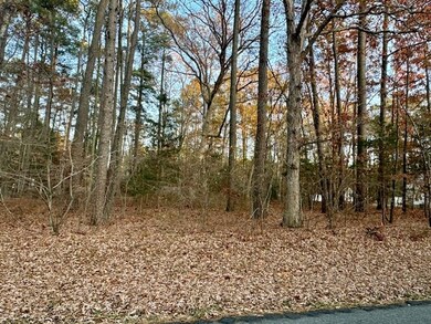 Lightly Wooded Lot