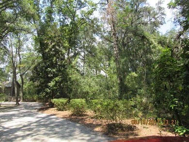 eagle island grass 006