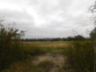 0 Cr 380, Rosharon, TX 77583 - photo 7