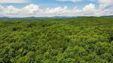 View of mountain backdrop with a heavily wooded area