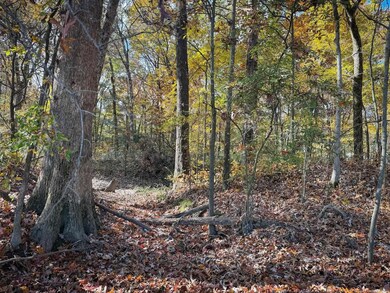 0 County Road 105, Hickory Ridge, AR 72347 - photo 4