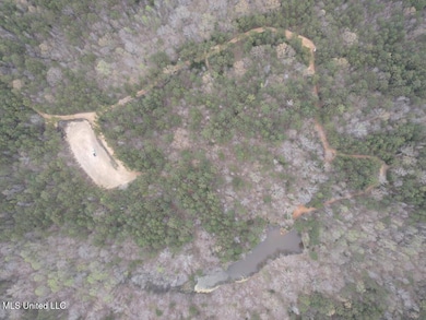 1788 County Rd, Water Valley, MS 38965 - photo 7