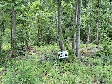 0 Slaughter Rd unit RTC3017612, Primm Springs, TN 38476 - photo 2