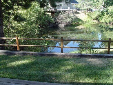 Pond front lawn