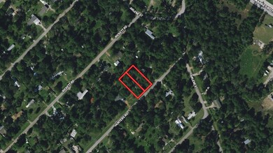 30207 Hunters Rd, Magnolia, TX 77355 - photo 2