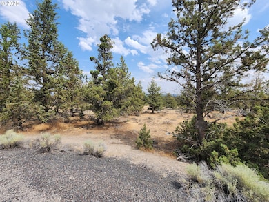 65432 78th St, Bend, OR 97703 - photo 2