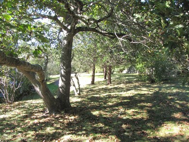 5 Redwing Ln, Chilmark, MA 02535 - photo 6