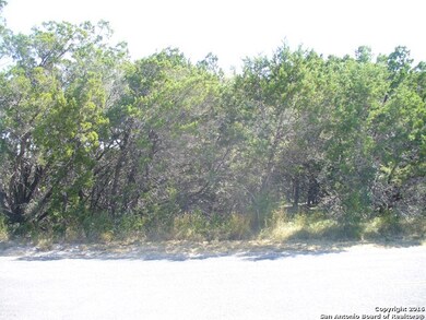 26026 Dull Knife Trail, San Antonio, TX 78255 - photo 3